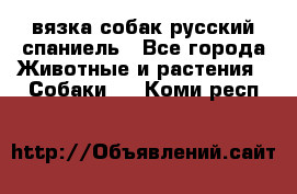 вязка собак русский спаниель - Все города Животные и растения » Собаки   . Коми респ.